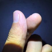 做梦的蟋蟀