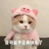 放飞心情