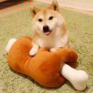 琳子
