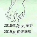 理解万岁哈
