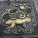 小白之龙