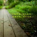 落叶知秋