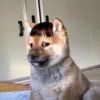 剧终。