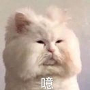郝郝大侠