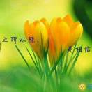 ￥我青春~赌明天＄