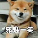你看见我的小雄了吗