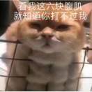 朱子爻