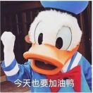 长大的星星