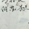 宝宝的大宝