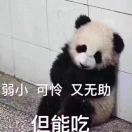 潜龙勿用。