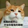 等风来席卷