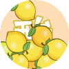 书叔舒淑梳疏殊