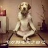 蚮气
