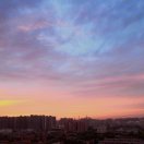 李七七7