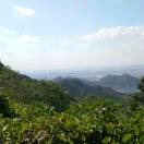 小嘉小燁