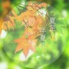 脱茧成龙