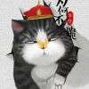 高鑫