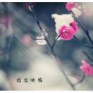 古月