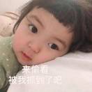 董富贵儿