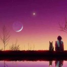 江中的湖