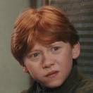 秋刀鱼过期粉丝头