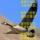 行者www.