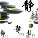 塞外欲狐