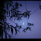 雪夜孤帆
