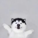 ?