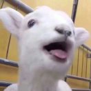 我来听故事!