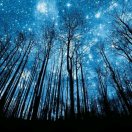 星辰大海