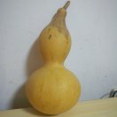 老吕，