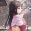 海螺贝壳