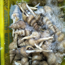 喜欢美食