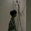 啊歪的老黑
