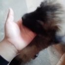 南理