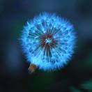 空虚123