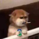 小谭