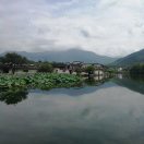 刘伟
