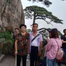 豫剧至上