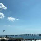 流東鹤