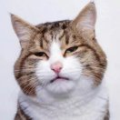 #减肥减肥快两点了上来了