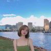 刘先生的猪