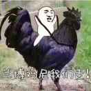 两片叶?