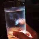 起个名字真难丨