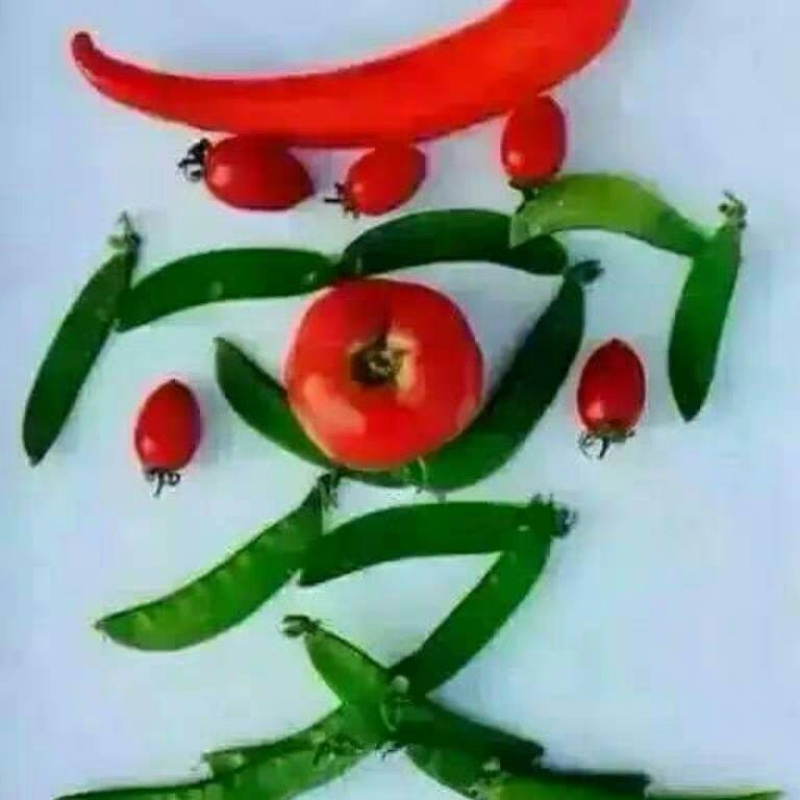 向楠xn