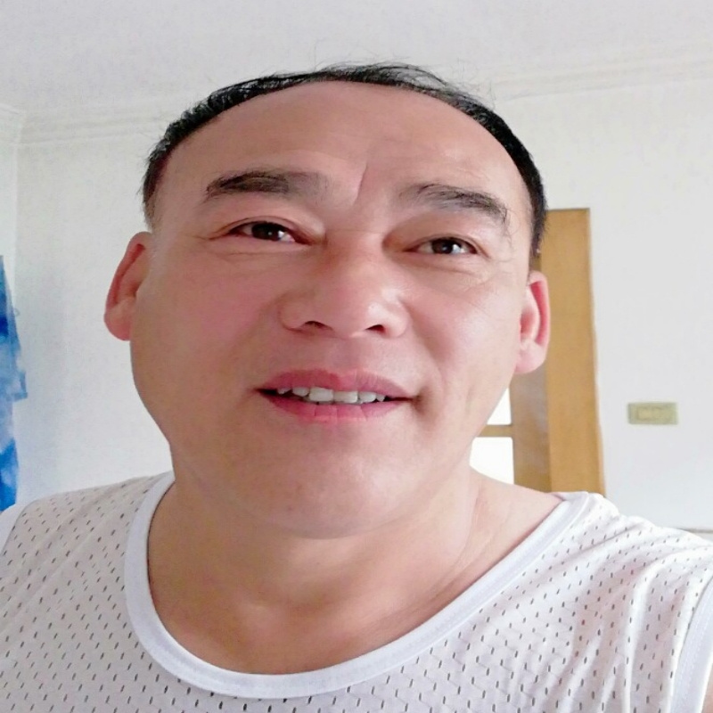 长青树