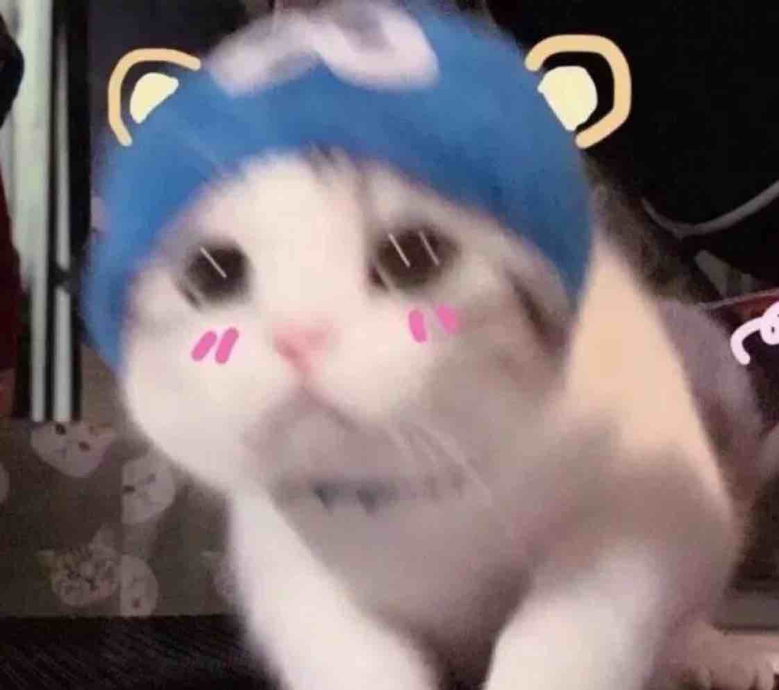 咫尺韶华_