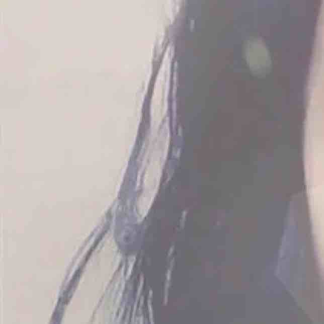 cici 公主
