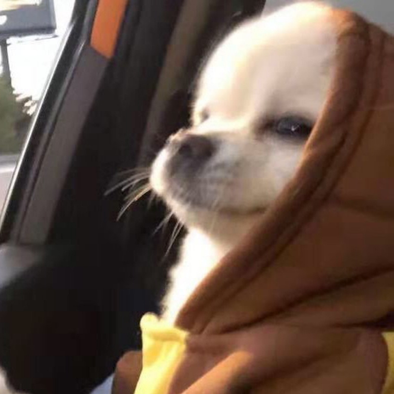 谁还不是个.宝宝